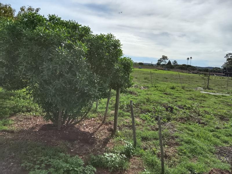 5 Bedroom Property for Sale in Stilbaai Rural Western Cape